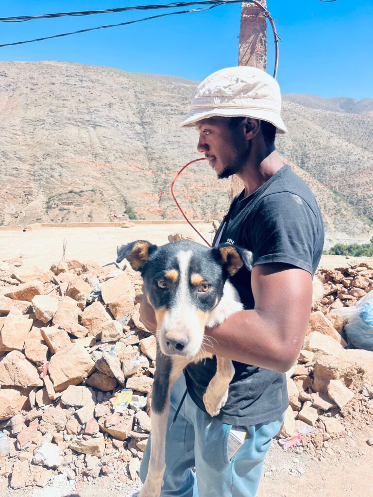 Animal-Heroes-Marokko-geredde-hond-aardbeving