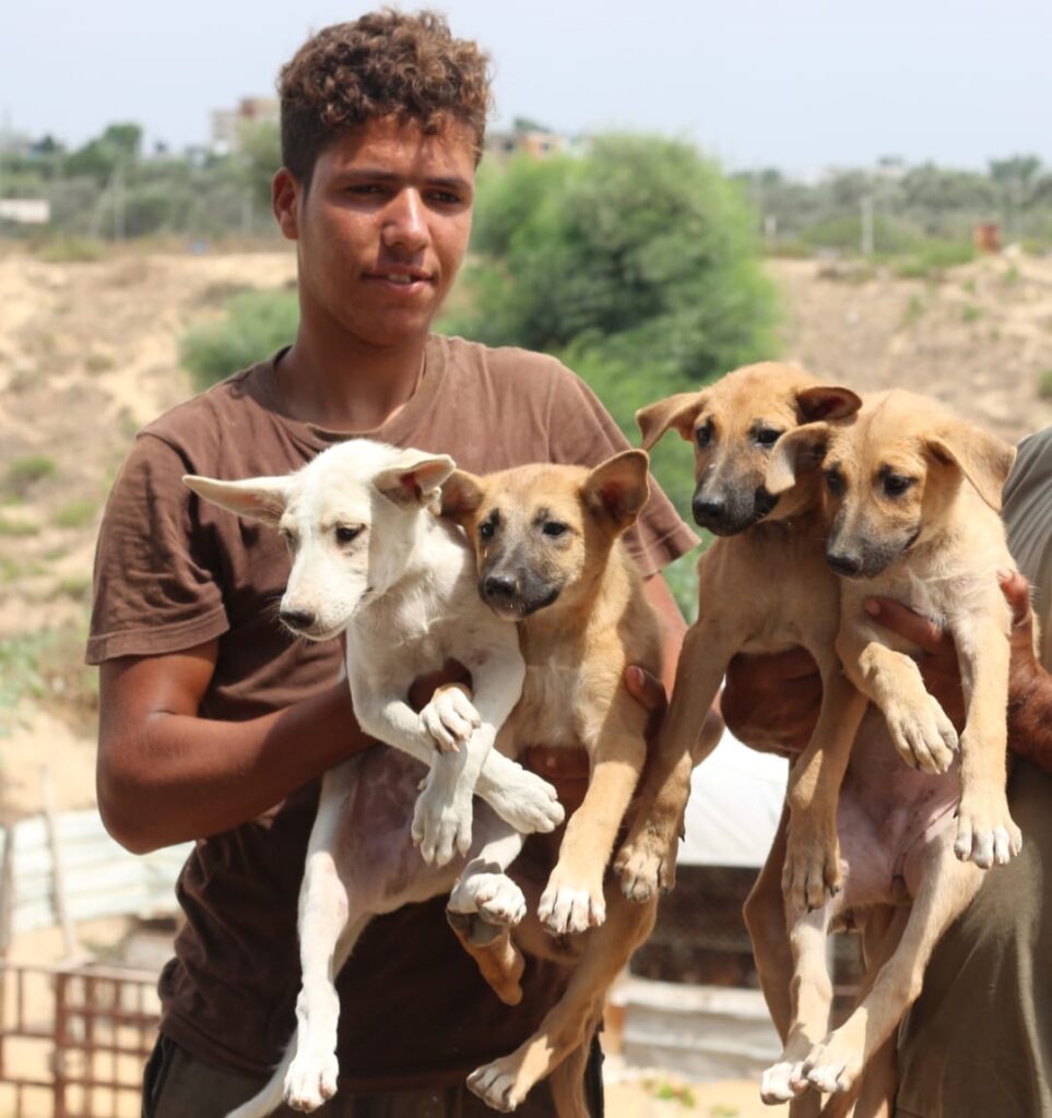 animal-heroes-Loay-Rami-Al-Wadi-gaza-killed