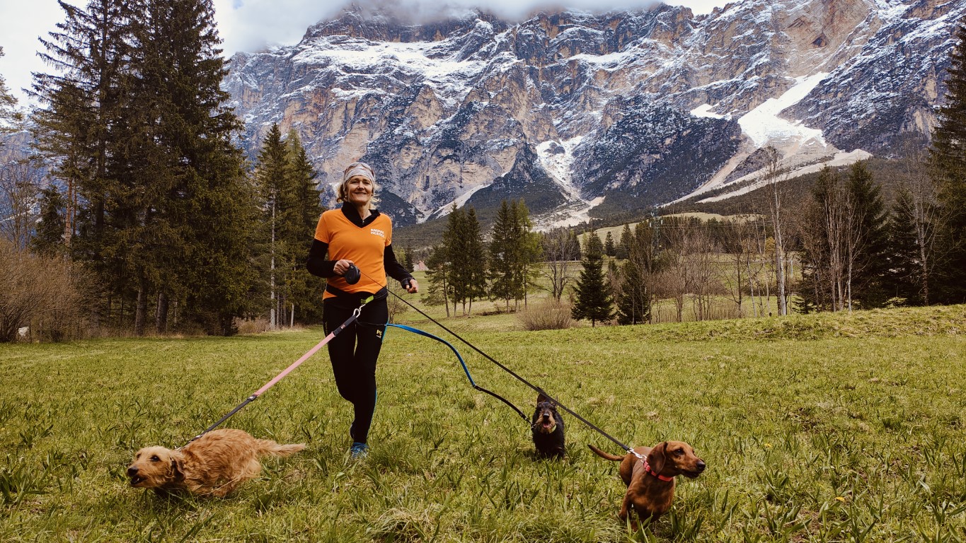 Animal Heroes Run