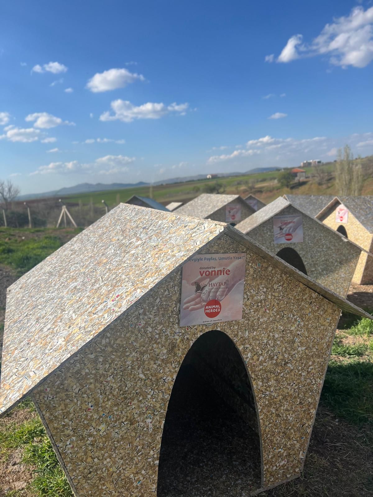 Animal-Heroes-doghouse-Turkey