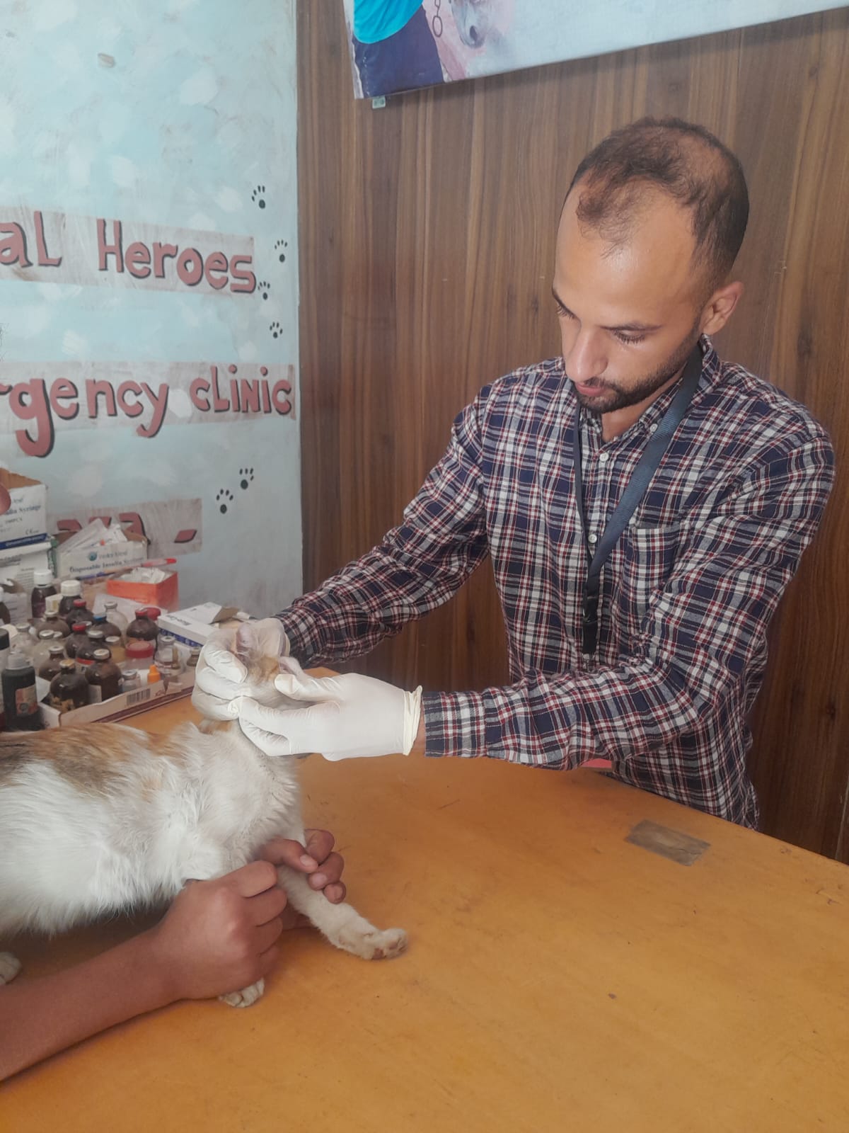 Animal-Heroes-Dr.Hosam-Gaza-Clinic-For-Animals