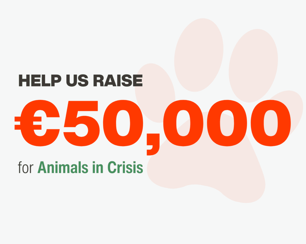 Image of fundraiser goal, 50 000 euros with a paw print