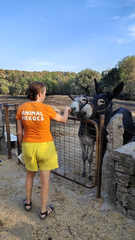 Animal-Heroes-ezels-bosbrand-spanje