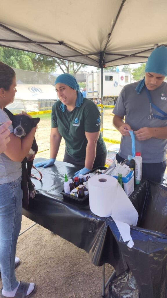 Animal-Heroes-Medical-Response-Eartherquake-Venezuela-Animals