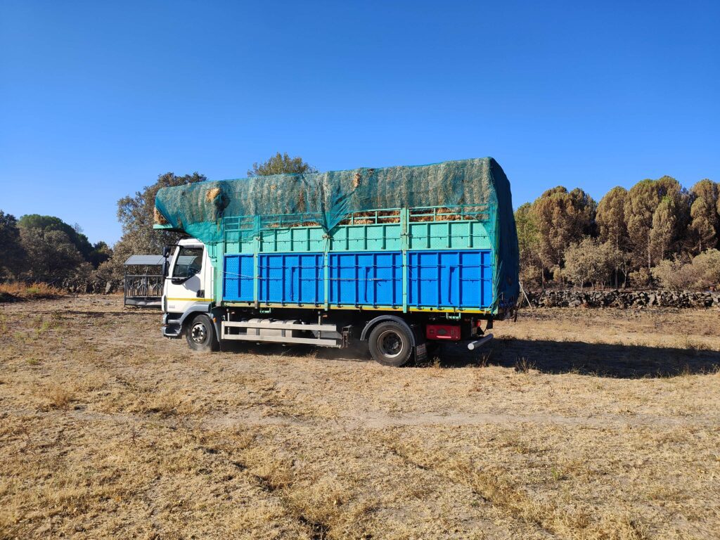 The arrival of Animal Heroes's first truckload of hay in La Adrada