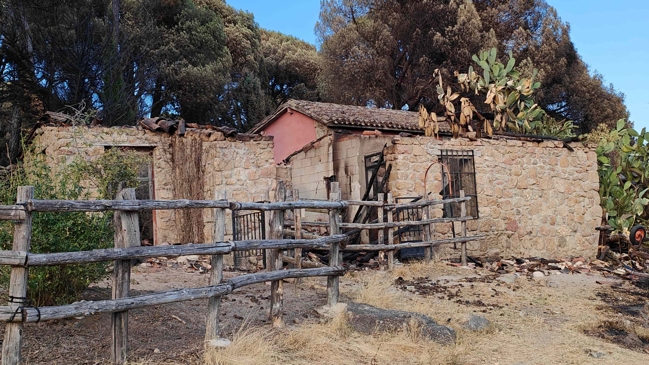 The remains of Axel and Amelia's animal shelters