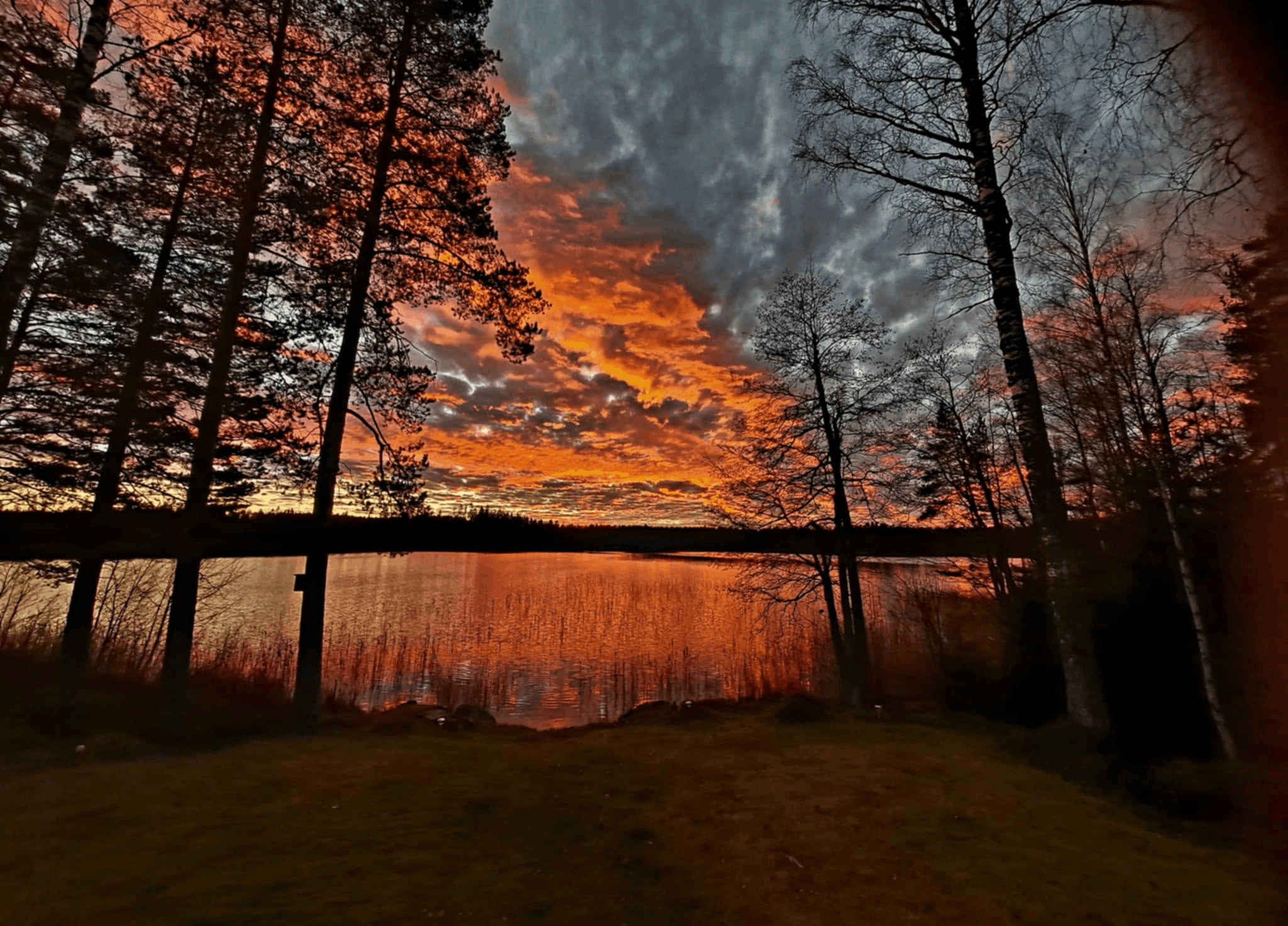 A autumn sunset over the lake beside Carina’s home. Living in the middle of the forest keeps her closely connected to the nature and wildlife she works to protect.