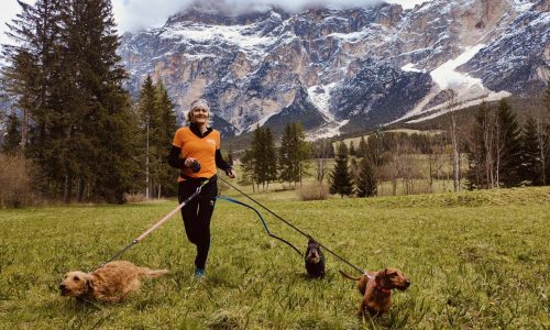 Animal Heroes Run