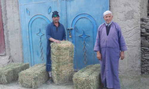 Animal-Heroes-hay-for-animals-morocco-earthquake