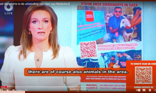 Animal-Heroes-Hart-van-Nederland-Gaza-dierenarts