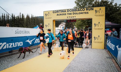 AnimalHeroesRun