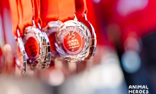 Animal-Heroes-Run-2025-Medals